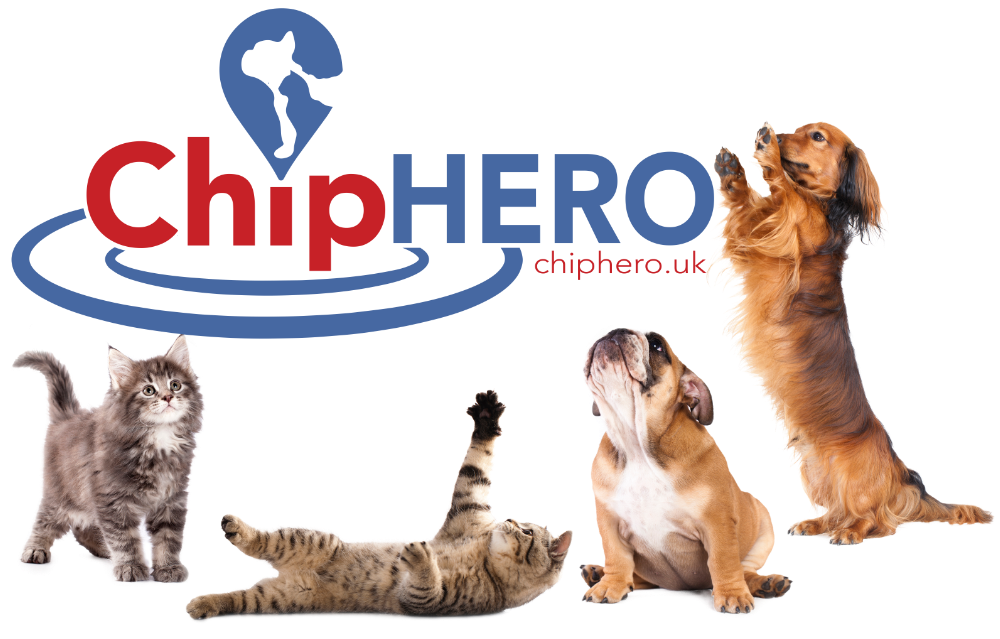 ChipHERO logo